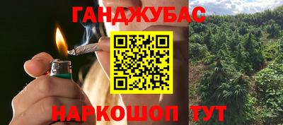 прущие грибы Брянск