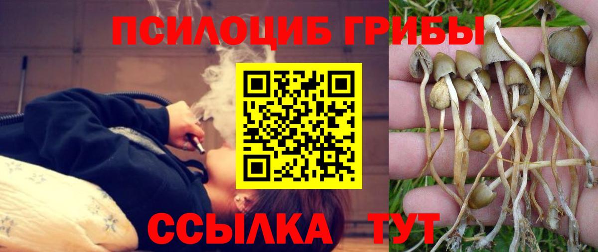 Псилоцибиновые грибы Psilocybe  Галлюциногенные грибы мухоморы  Коммунар  Вход с VPN 